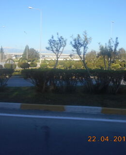 влад — фото 2