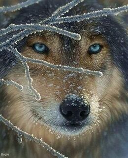 Руслан Иванов