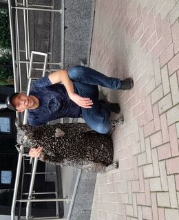 agordeev380@gmail.com