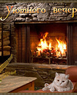 влад — фото 1